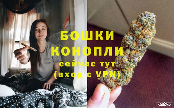 крисы Зеленодольск