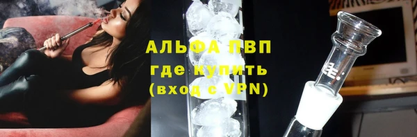 крисы Зерноград