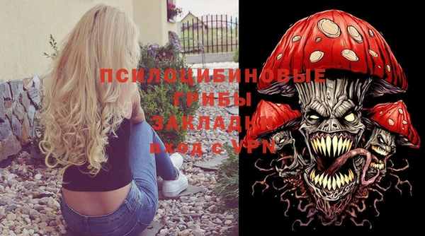 крисы Зеленодольск