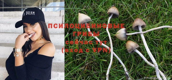 гидра Зеленокумск