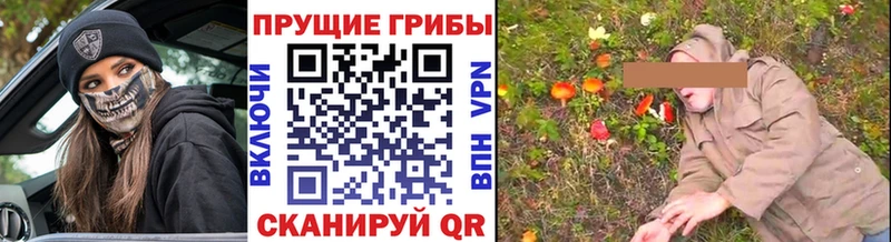 Купить закладки  Заволжск  Галлюциногенные грибы Magic Shrooms 